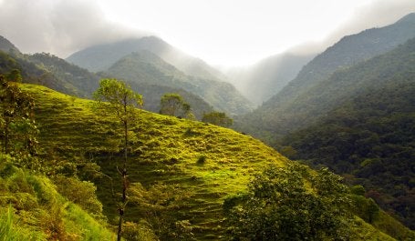 Imagem aérea de paisagem de floresta na costa rica