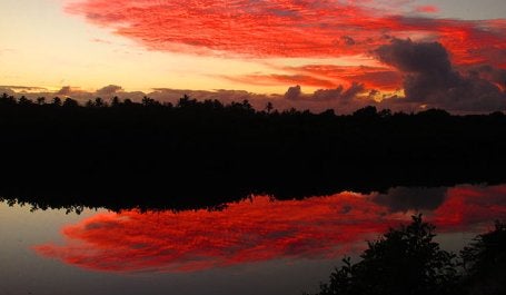 ROAM restauração florestal Espírito Santo água