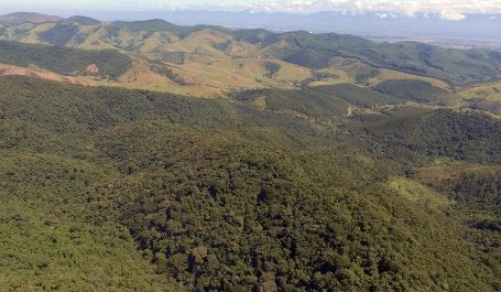 Vista aérea de paisagem com cobertura vegetal na porção paulista do Vale do Paraíba (Foto: Paulo Thiago/Bellair Vídeos)