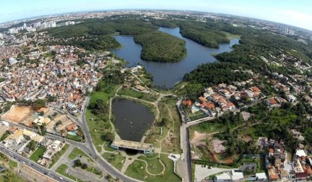 O governo de Salvador está aumentando parques e incentivando a população a plantas árvores nativas, um esforço para revitalizar o entorno da Floresta Atlântica (Foto: Manu Dias/SECOM)