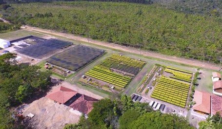 Restauração fins econômicos investimento
