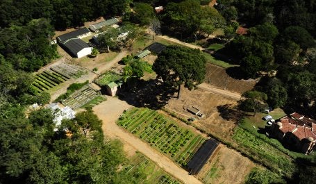imagem aérea de viveiro de mudas no parque estadual do rio doce