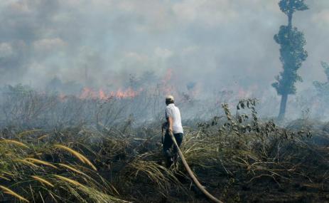 Homem apaga incêndio florestal em Borneu, Indonésia