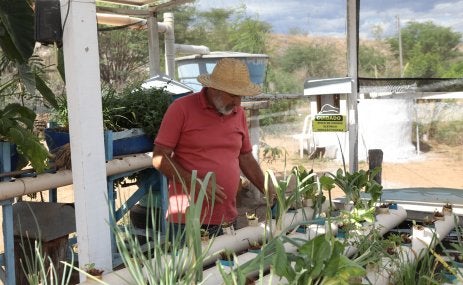 Agricultura familiar