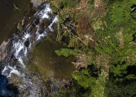 Mata ciliar do Rio Papudos, no RJ