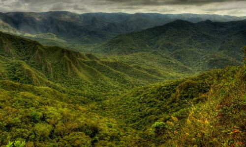 Parque Nacional da Serra do Gandarela conserva parte da Mata Atlântica (foto: Federico Pereira/Flickr)