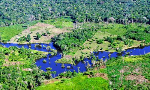 Desmatamento na Floresta Amazônica próximo a Manaus (MA) (Foto: Neil Palmer/CIAT)