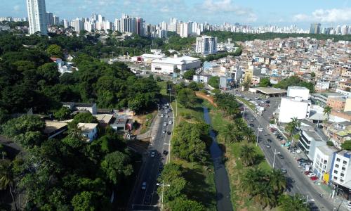 Imagem área mostra área de Salvador com muitas árvores e zona urbana ao fundo