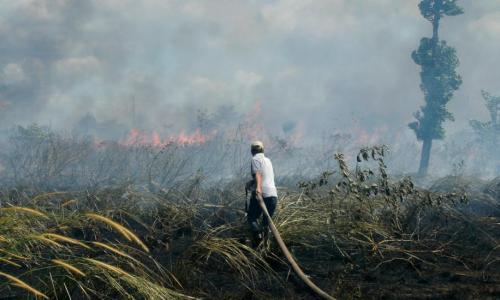 Homem apaga incêndio florestal em Borneu, Indonésia