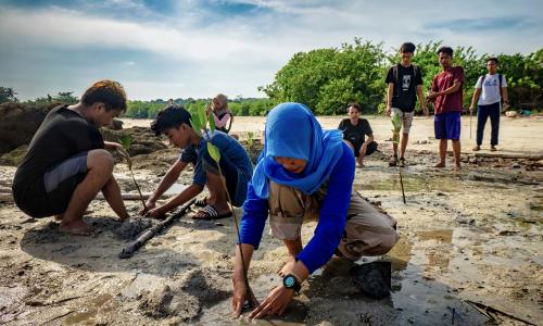 pessoas realizam restauração de manguezais