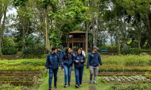 A colaboração com a universidade local, Universidad Técnica Particular de Loja, foi central para a gênese do Sistema Verde Urbano como um quadro socioecológico de construção de cidades