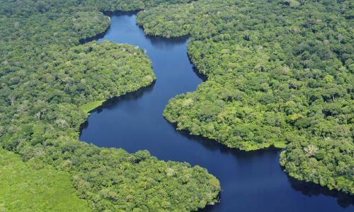 Mudanças na legislação colocam em risco a Floresta amazônica (foto: Neil Palmer/CIAT/Wikimedia Commons)