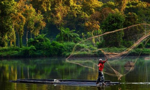 imagem de pescador lançando tarrafa na indonésia 