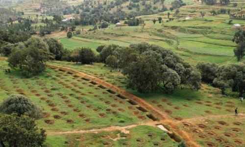 Terras agrícolas e florestas lado a lado em Tigray, na Etiópia