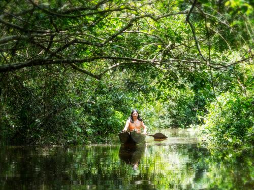 indígena navengando em barco em meio à floresta amazônica