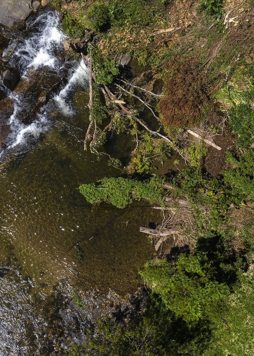 Mata ciliar do Rio Papudos, no RJ