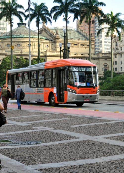 transportes Mobilidade, Nosso transporte público