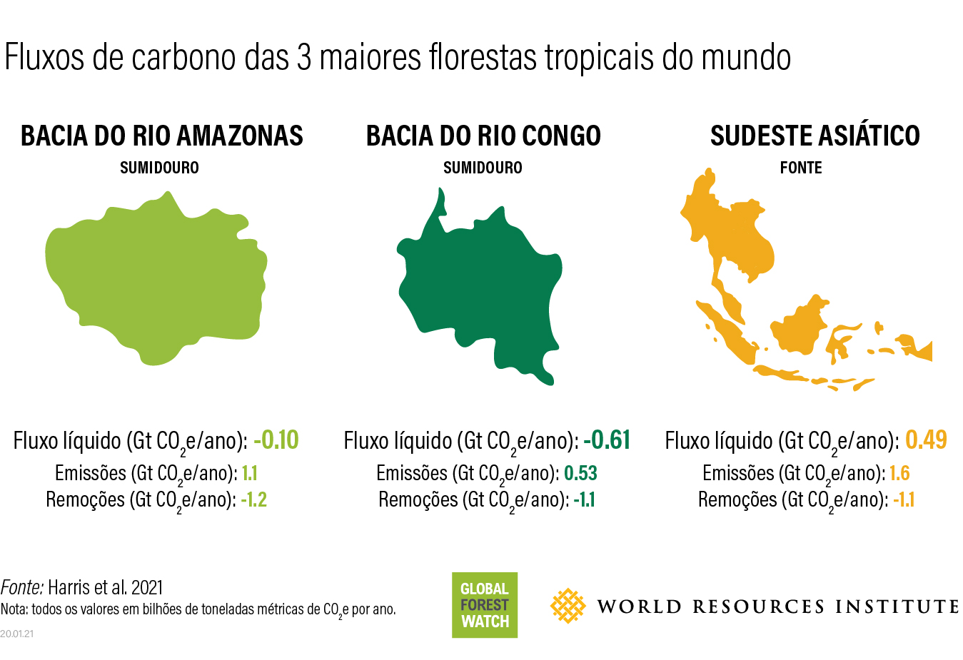 Fluxos de carbono nas florestas tropicais