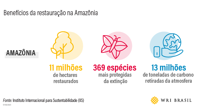 Figura com benefícios da restauração na Amazônia