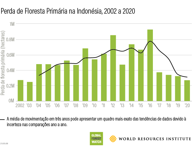 Gráfico de perda na Indonésia